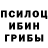 Псилоцибиновые грибы GOLDEN TEACHER Igor Taslitskiy