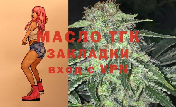 тгк Алзамай