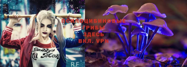 тгк Алзамай