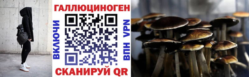 Псилоцибиновые грибы мицелий  darknet какой сайт  Геленджик 