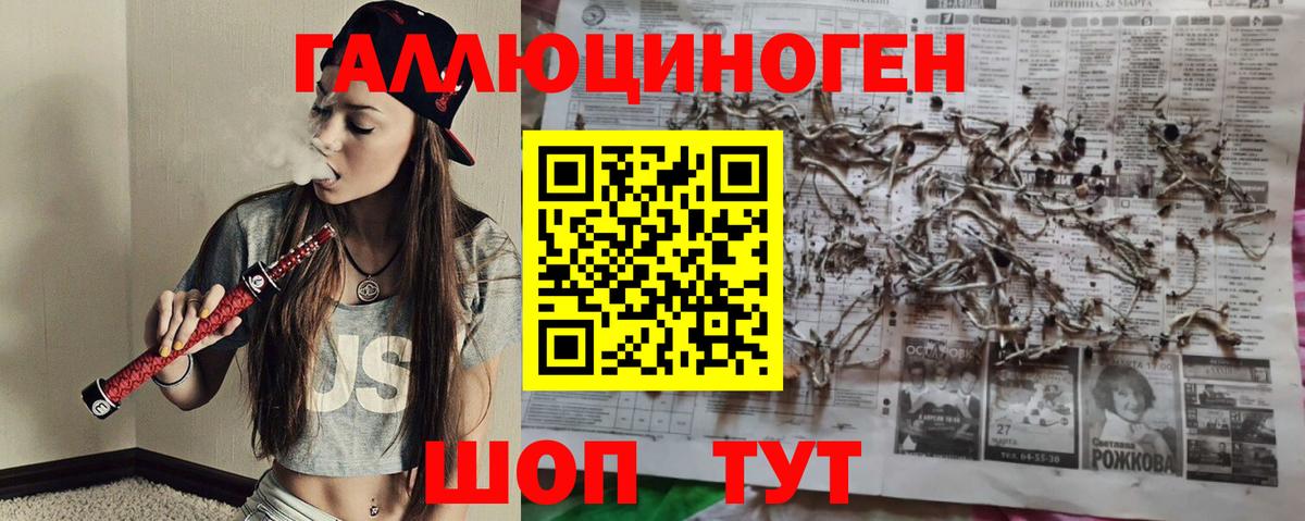 Псилоцибиновые грибы Magic Shrooms Геленджик